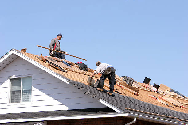 Best Commercial Roofing Services  in St Peter, MN